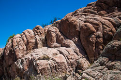 DSC_5540.jpg DSC_5540.jpg