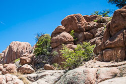 DSC_5542.jpg DSC_5542.jpg