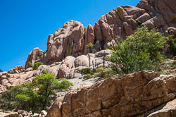 DSC_5547.jpg DSC_5547.jpg