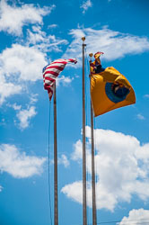 DSC_5864.jpg DSC_5864.jpg