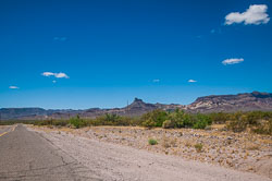 DSC_5988.jpg DSC_5988.jpg