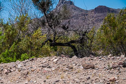 DSC_5995.jpg DSC_5995.jpg