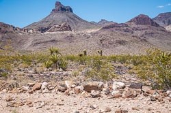 DSC_6003.jpg DSC_6003.jpg