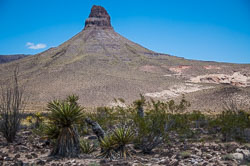 DSC_6009.jpg DSC_6009.jpg