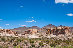 DSC_6026.jpg DSC_6026.jpg