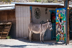 DSC_6062.jpg DSC_6062.jpg