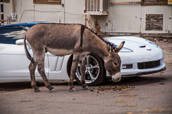 DSC_6064.jpg DSC_6064.jpg