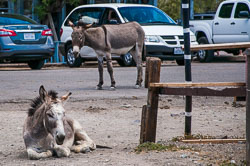 DSC_6068.jpg DSC_6068.jpg