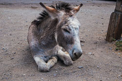 DSC_6070.jpg DSC_6070.jpg