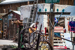 DSC_6072.jpg DSC_6072.jpg