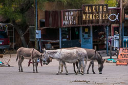 DSC_6075.jpg DSC_6075.jpg