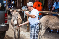 DSC_6077.jpg DSC_6077.jpg