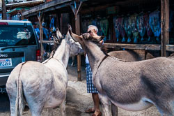 DSC_6078.jpg DSC_6078.jpg