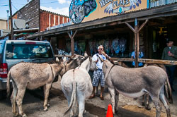 DSC_6080.jpg DSC_6080.jpg