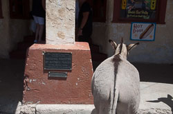 DSC_6083.jpg DSC_6083.jpg