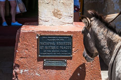 DSC_6084.jpg DSC_6084.jpg