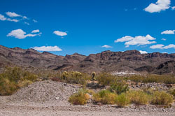 DSC_6097.jpg DSC_6097.jpg