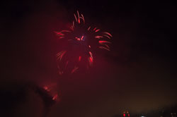 DSC_6626.jpg DSC_6626.jpg