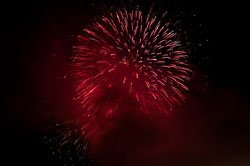 DSC_6645.jpg DSC_6645.jpg