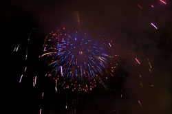 DSC_6731.jpg DSC_6731.jpg