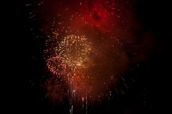 DSC_6795.jpg DSC_6795.jpg