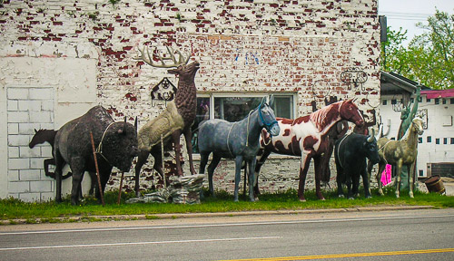 DSCN8765.jpg DSCN8765.jpg