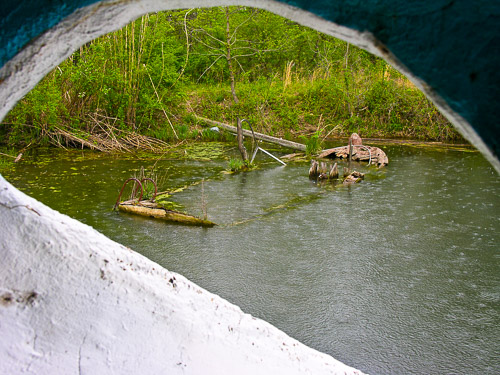 DSCN8790.jpg DSCN8790.jpg