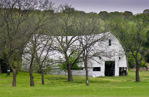 DSCN8904.jpg DSCN8904.jpg