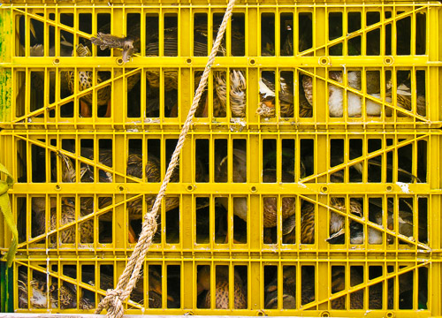 DSCN8923.jpg DSCN8923.jpg