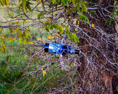 DSC_2140.jpg DSC_2140.jpg