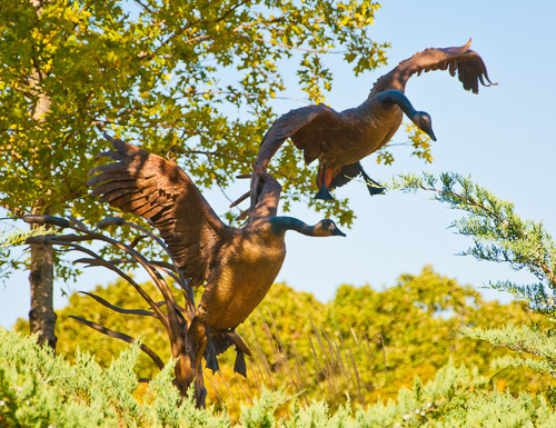 DSC_2264.jpg DSC_2264.jpg