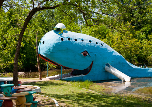 DSC_5341.jpg DSC_5341.jpg