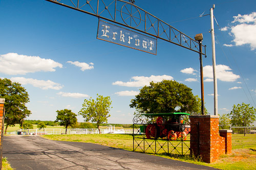 DSC_9164.jpg DSC_9164.jpg