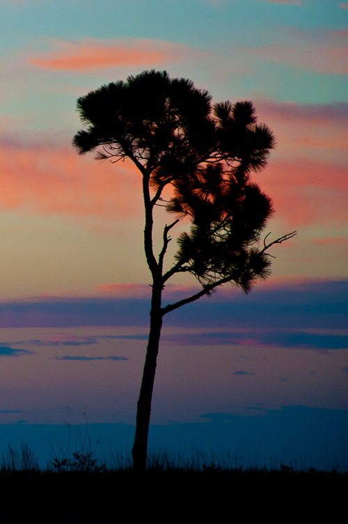 DSC_8114.jpg DSC_8114.jpg