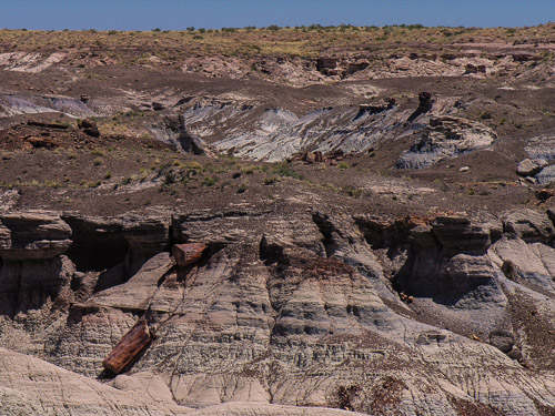 DSCN4268.jpg DSCN4268.jpg