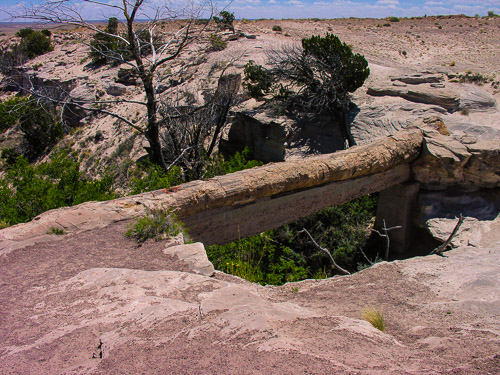 DSCN4281.jpg DSCN4281.jpg