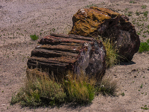 DSCN4284.jpg DSCN4284.jpg