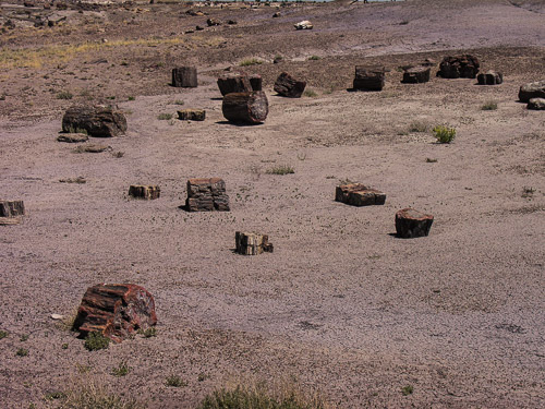 DSCN4285.jpg DSCN4285.jpg