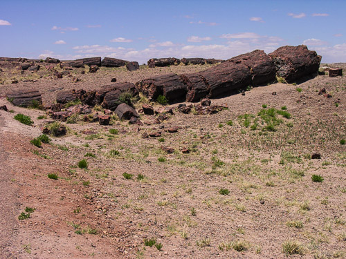 DSCN4292.jpg DSCN4292.jpg