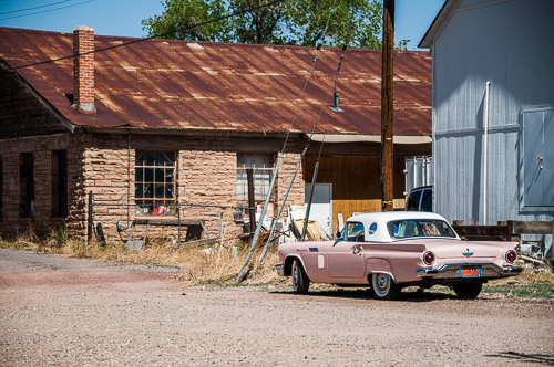 DSC_13584.jpg