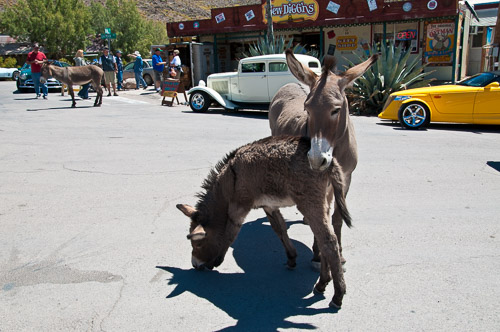 DSC_5014.jpg