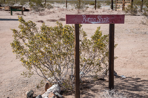 DSC_13867.jpg DSC_13867.jpg