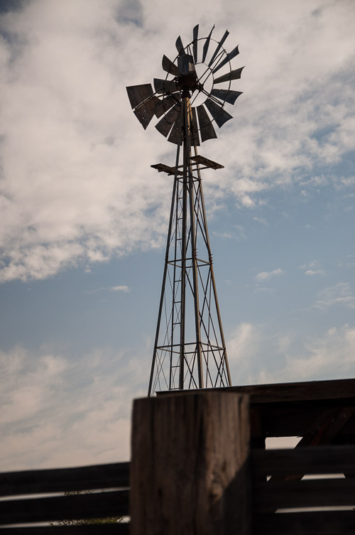 DSC_13885.jpg DSC_13885.jpg