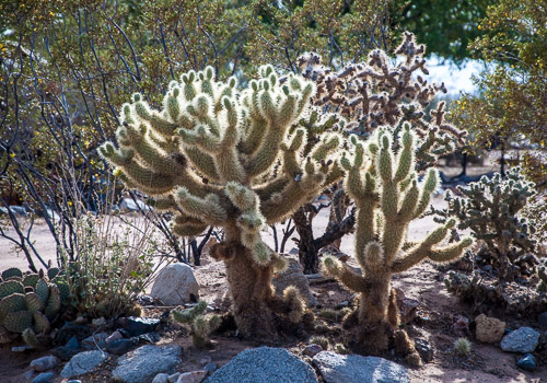 DSC_13893.jpg DSC_13893.jpg