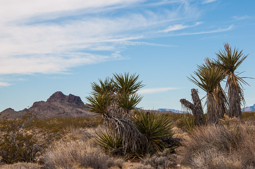 DSC_4177.jpg DSC_4177.jpg