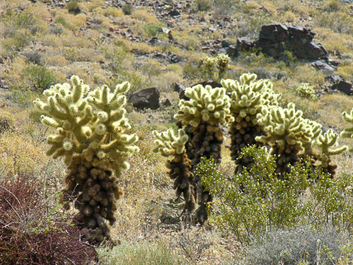 DSCN9747.jpg DSCN9747.jpg