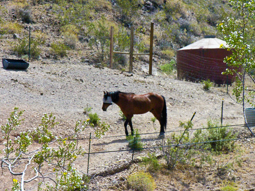 DSCN9749.jpg DSCN9749.jpg