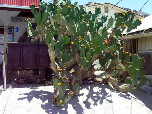 DSCN9785.jpg DSCN9785.jpg