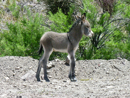 DSCN9801.jpg DSCN9801.jpg