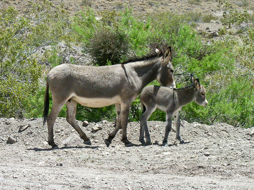 DSCN9802.jpg DSCN9802.jpg